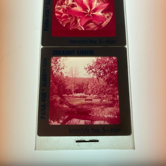 Vintage GAF Pana-Vue Slides Chuckanut Gardens Alger Washington Lot of 5 PV125 - Picture 10 of 10